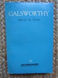 John Galsworthy - Mărul &icirc;n floare ( nuvele )