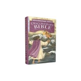 NIV Discoverer's Bible, Large Print, Hardcover