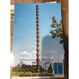 CPIF Prima zi Brancusi