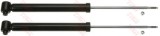 Amortizor AUDI A6 (4B2, C5) (1997 - 2005) TRW JGT395T
