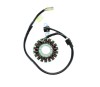 Stator Yamaha WRF 450 12- 15 Electrosport ESG769