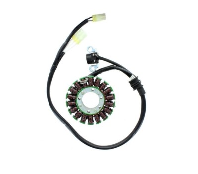 Stator Yamaha WRF 450 12- 15 Electrosport ESG769 foto