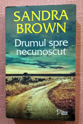 Drumul spre necunoscut. Editura Litera, 2023 - Sandra Brown foto