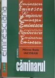 CAMINARUL - Mircea Radu Iacoban - Roman - Editura Junimea 2012 - Beletristica Romana