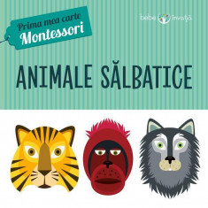 Animale sălbatice. Prima mea carte Montessori - Hardcover - *** - Litera mică