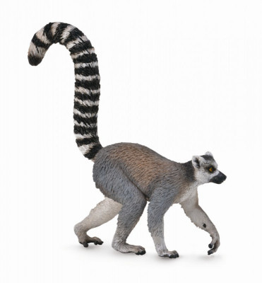 Lemur cu coada-inel - Animal figurina foto