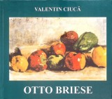 Otto Briese - Valentin Ciuca: Album Pictura, Cronica 2002, 102 Pagini, Coperta Cartonata