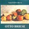 OTTO BRIESE-VALENTIN CIUCA-266301