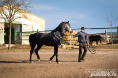 ferme animale angajari foto