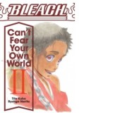 Bleach: Can't Fear Your Own World, Vol. 2 - Ryohgo Narita