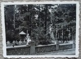 Cimitirul Eroilor, Timis, 1939// fotografie