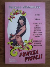 Hermann Sudermann - Puntea pisicii foto