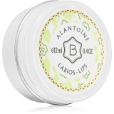 Benam&ocirc;r Alanto&iacute;ne B&aacute;lsamo L&aacute;bios balsam de buze 12 ml