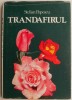 Trandafirul - Stelian Popescu - Carte anticariat, stare buna