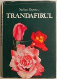 Trandafirul - Stelian Popescu - Carte anticariat, stare buna