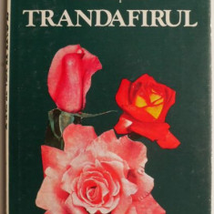 Trandafirul – Stelian Popescu