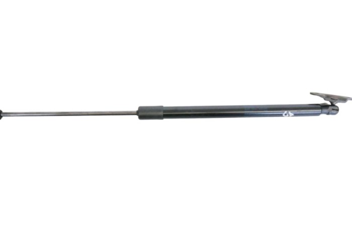 Amortizor haion dreapta SKODA SKODA ENYAQ iV SUV 5AC, 5AZ 2022 OEM: 5LG827551B 23325234