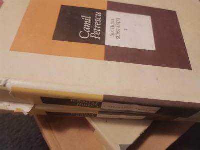 Camil Petrescu, Doctrina substanţei, 2 volume, 1988 foto