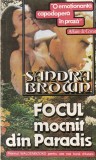 Sandra Brown - Focul mocnit din Paradis (1993)