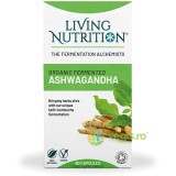 Fermented Ashwagandha 600mg Full Spectrum 60cps