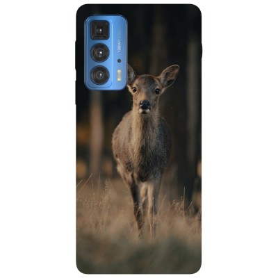 Husa compatibila cu Motorola G20 model Curious deer, Silicon, TPU, Viceversa foto