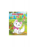 Colorăm pisicuțe - Paperback - Erc Press