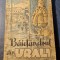 Baietandrul din Urali I. Licstanov ilustratii N. Viting