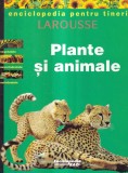 Enciclopedia Pentru Tineri Plante Si Animale Rao 1998 Coperti Cartonata 21x28cm 103 Pagini