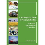 A strat&eacute;giai &eacute;s &uuml;zleti tervez&eacute;s gyakorlata - N&aacute;br&aacute;di Andr&aacute;s