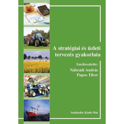 A strat&amp;eacute;giai &amp;eacute;s &amp;uuml;zleti tervez&amp;eacute;s gyakorlata - N&amp;aacute;br&amp;aacute;di Andr&amp;aacute;s foto