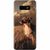 Husa silicon pentru Samsung Galaxy S10 Lite, Alone Dog Animal In Grass