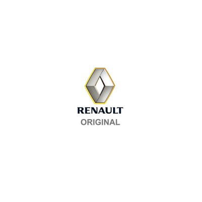 RENAULT 266000411R Lumini de zi foto