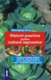 Sfaturi Practice Pentru Cultura Legumelor (Hoza)