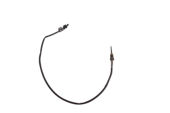 Senzor de temperatură BMW 4 Coupe F32, F82 2015 OEM: 7543312 17228274