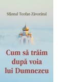 Cum sa traim dupa voia lui Dumnezeu - Sfantul Teofan Zavoratul