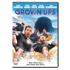 Grown Ups DVD foto