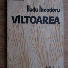 Radu Theodoru - Vîltoarea