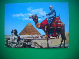 HOPCT 81267 SFINXUL SI PIRAMIDELE GIZA EGIPT -COSTUM-NECIRCULATA, Printata