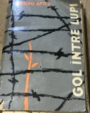 LITR1 Literatura Gol intre Lupi