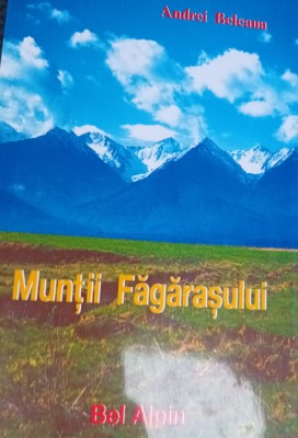 MUNTII FAGARASULUI ANDREI BELEUA foto