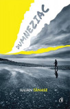 Dumneziac - Roman - Iulian Tanase - Curtea Veche - Carti Beletristica Paperback Brosat