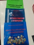 Gestiunea financiara a &icirc;ntreprinderii - Diana Tagaduan