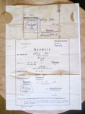 Cumpara ieftin Rar! Certificat militar nazist de &icirc;nregistrare emis de biroul de recrutare militară din Speyer &icirc;n 1938