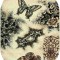 Covor Oval Model Fluturi 1607-110, Marime 60 x 110 cm, Bej, Maro, Inaltime Fir 8 mm, Antialergic, Polipropilena, Living, Dormitor, Sufragerie, Birou