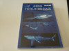 10 todliche Haie, DVD, Altele
