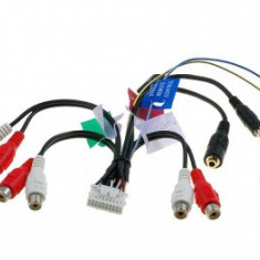 Conector radio ptr Pioneer 20 PINI