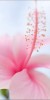Husa Personalizata ALLVIEW E4 \ E4 Lite Pink