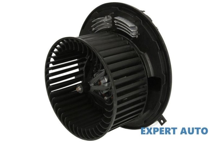 Motoras incalzitor Mercedes A-Class (2004-2012) [W169] #1