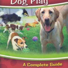 Off-Leash Dog Play: A Complete Guide to Safety and Fun