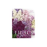 Lilacs: Beautiful Varieties for Home and Garden